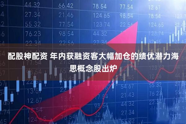 配股神配资 年内获融资客大幅加仓的绩优潜力海思概念股出炉
