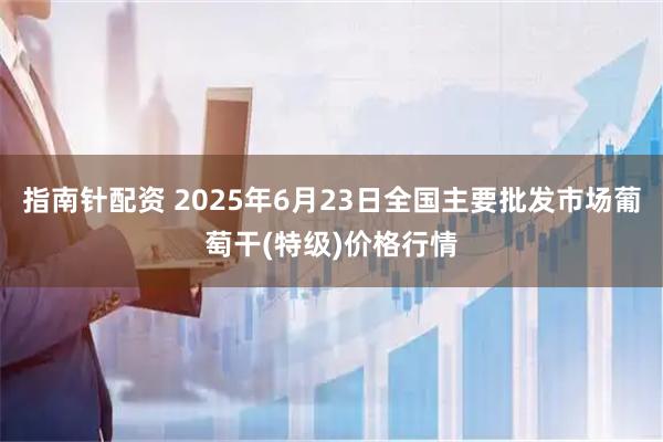 指南针配资 2025年6月23日全国主要批发市场葡萄干(特级)价格行情