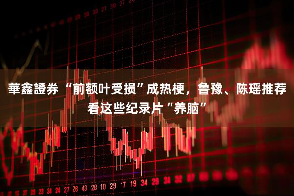 華鑫證券 “前额叶受损”成热梗，鲁豫、陈瑶推荐看这些纪录片“养脑”